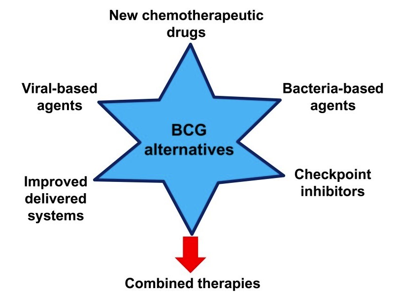 Therapies for nonmuscle invasive bladder cancer.