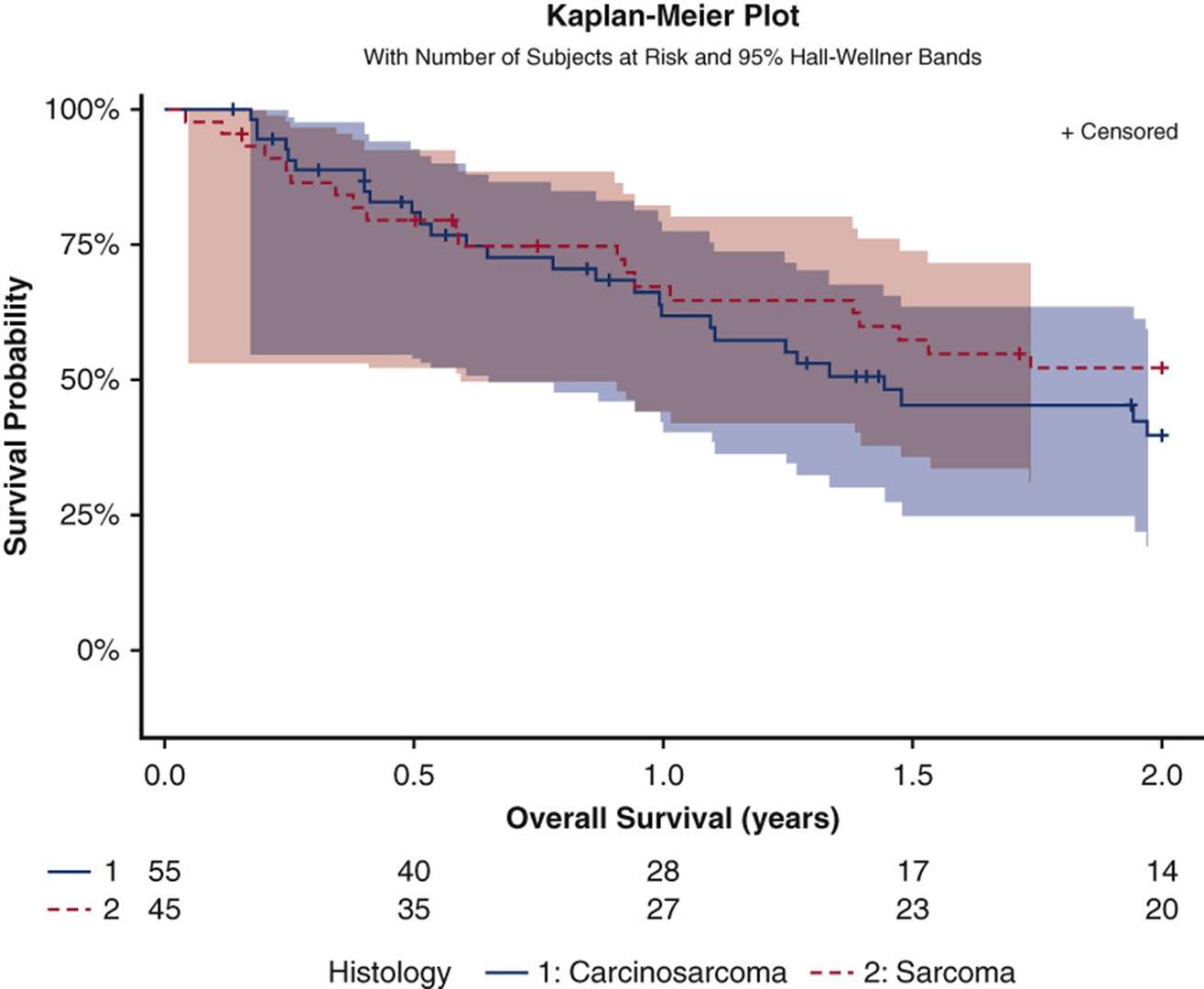 Survival curves of primary pulmonary sarcoma and carcinosarcoma.
