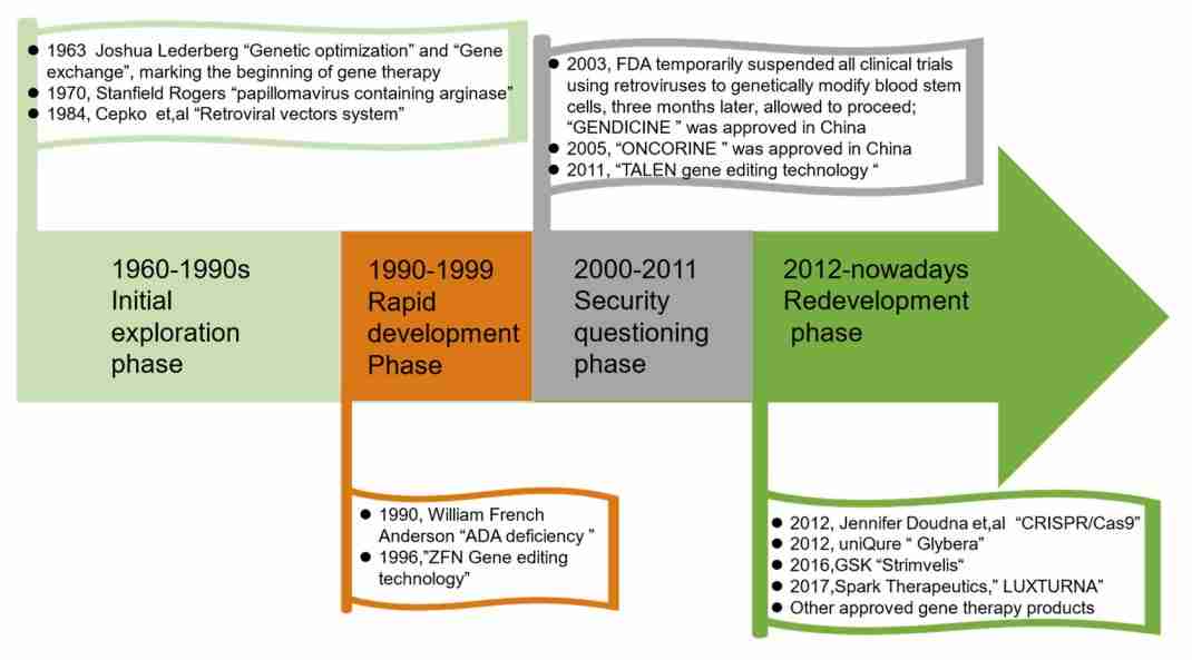 Timeline of development of gene therapy.