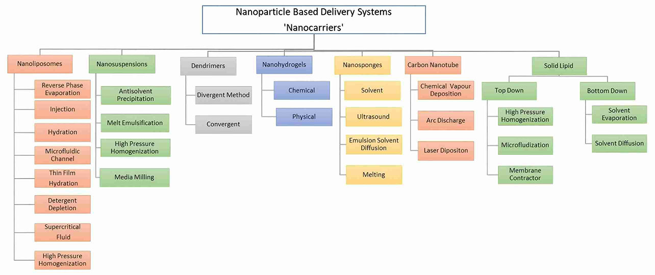 Schematics of nanoparticle-based delivery systems.
