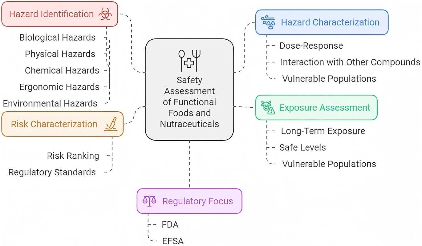 Risk assessment for nutraceutical/functional foods.