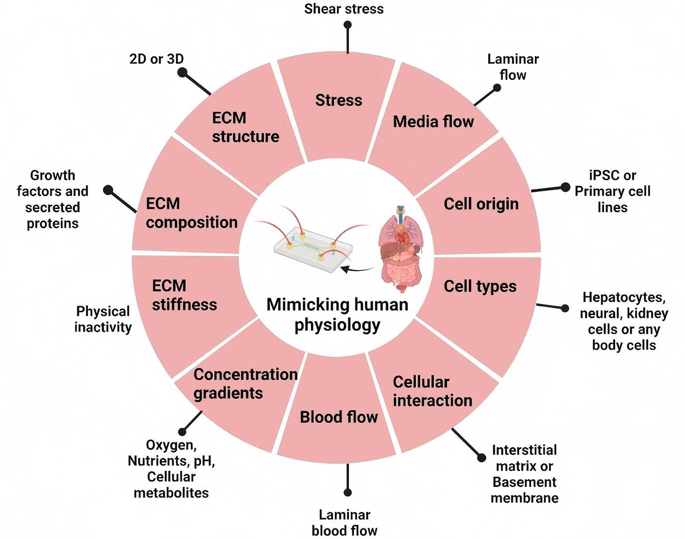 Validation parameters for nutraceutical organ-on-chip models.