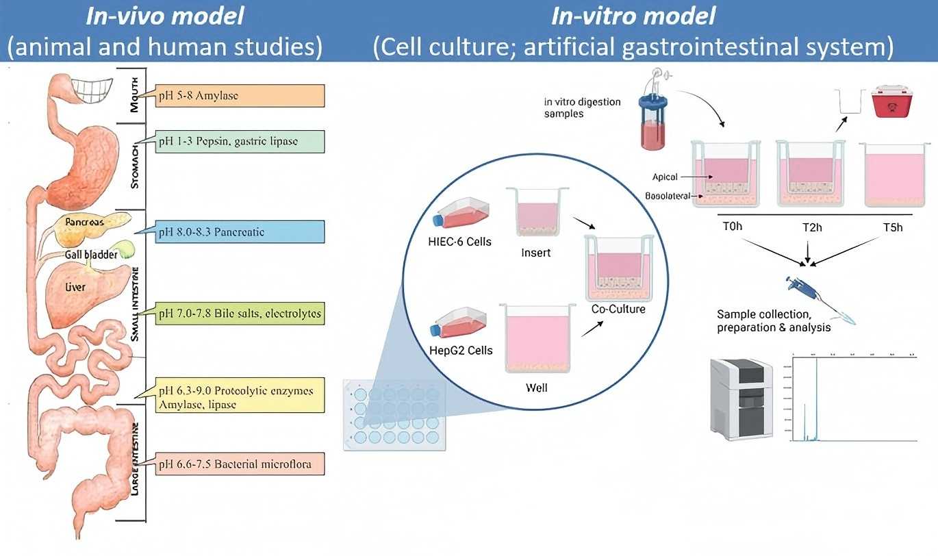 Bioavailability assessment methodologies.