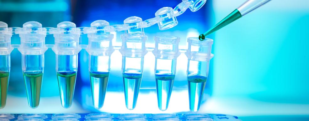 Iron metabolism inhibitors and activators.