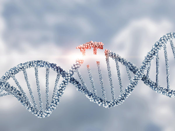 Gene Therapy Development Platform