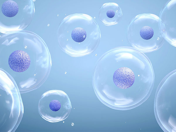 Cell Therapy Development Platform