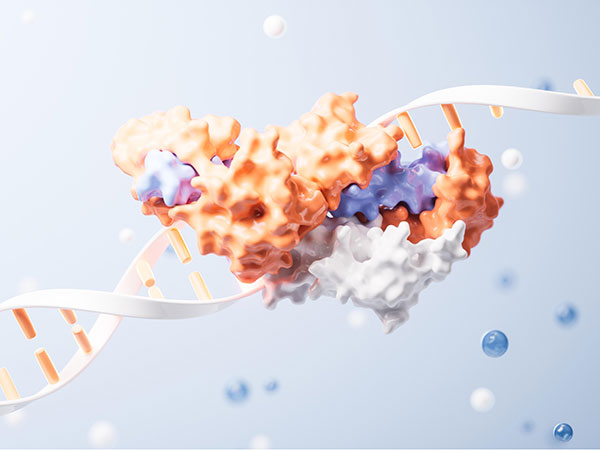 Therapeutic Protein Development Platform