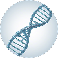 Iron Metabolism-related Gene-based Services
