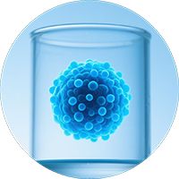 Iron Metabolism-related Cell Services