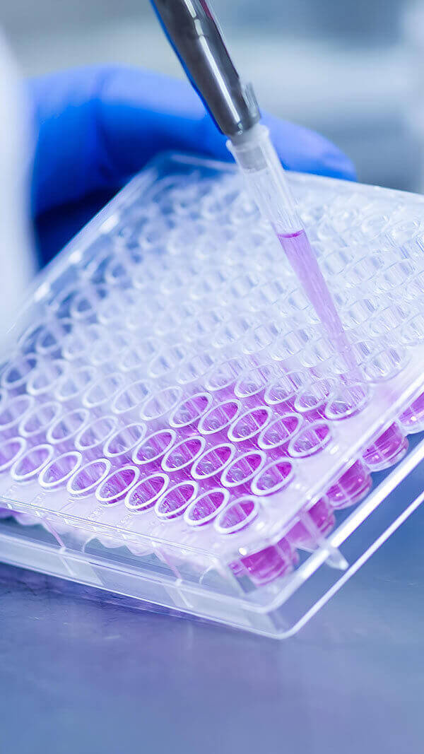 Cell-based Models Development