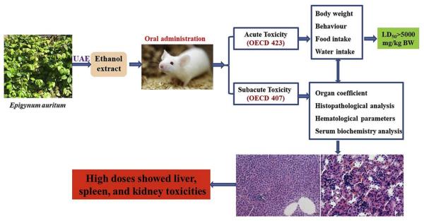 1-3-2-1-2 Repeated-dose Toxicity Evaluation-1
