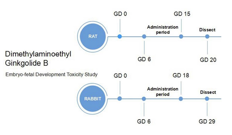 1-3-2-3-2 Embryo-fetal Development Toxicity Evaluation-1