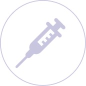 1-3-2-3-2 Embryo-fetal Development Toxicity Evaluation-3