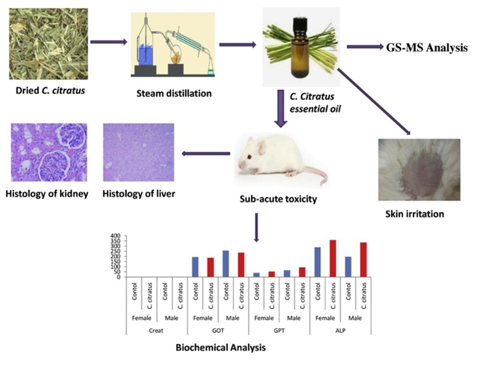 Examples of skin irritation evaluation.