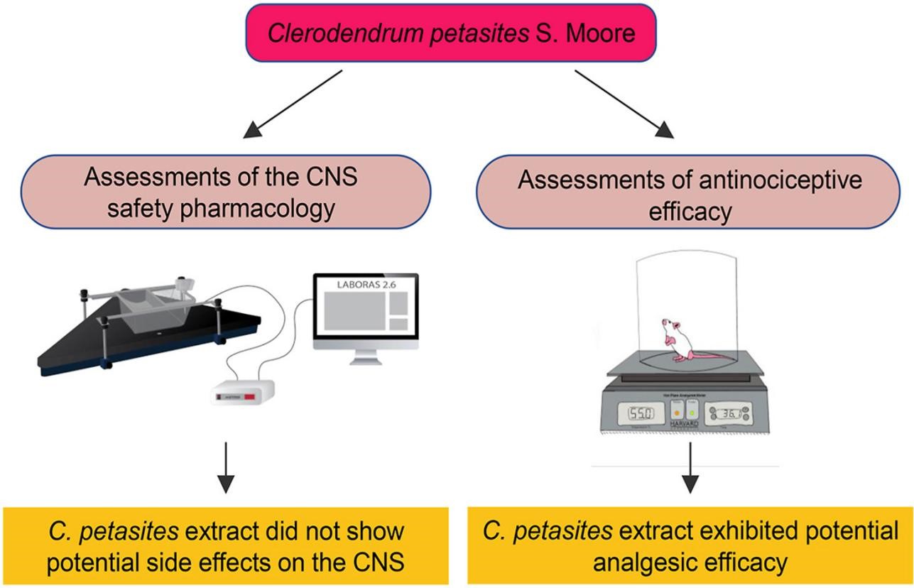 Examples of CNS safety pharmacology evaluation.