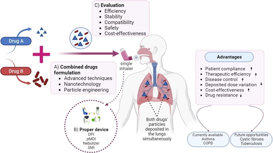 The deposition of inhalation particles in the lungs.