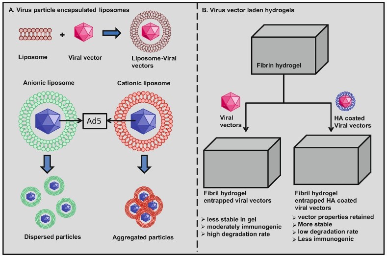 Hybrid Vector Development Platform-1
