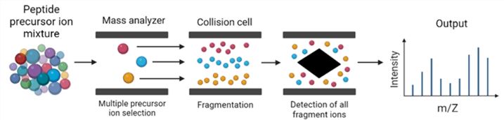Protein Detection Service-1