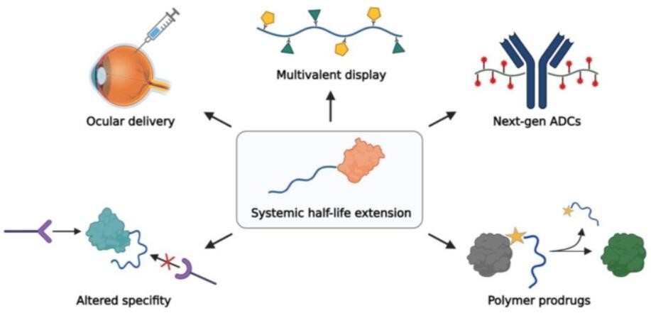 Protein Modification Service-1