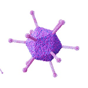 Viral Vector Development Services-2
