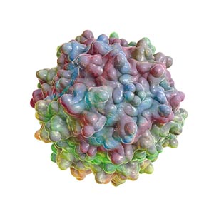 Viral Vector Development Services-3