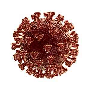 Viral Vector Development Services-5