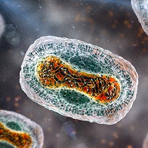 Viral Vector Development Services-7
