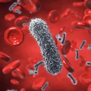 Viral Vector Development Services-8