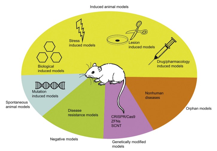 Fig.1 Types of animal models. (Laaldin, N., et al., 2020)