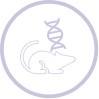 Syngeneic Model Development Service