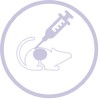 Syngeneic Model Development Service