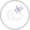 Syngeneic Model Development Service