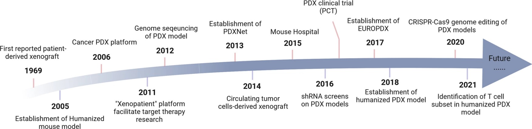 Fig.1 Timeline of the PDX study. (Liu, Yihan, et al., 2023)