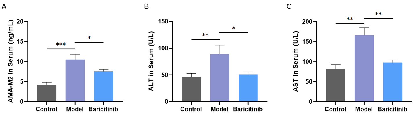 Elevated serum AMA-M2, ALT, and AST in the model group were reduced by Baricitinib therapy.