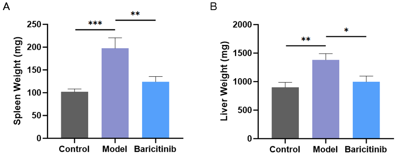 Baricitinib therapy lowered the spleen and liver weight increases in the 2OA-BSA induced model.