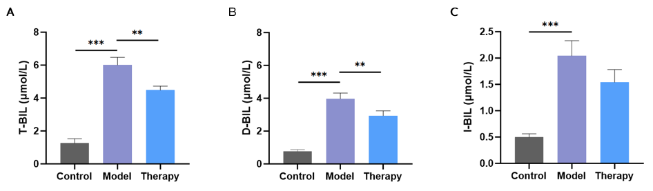 Marked elevations in serum total, direct, and indirect bilirubin induced by ANIT were reduced by UDCA therapy.