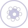 Cell Transfection