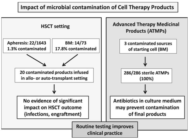 Fig.1 Impact of microbial contamination of cell Therapy Products.