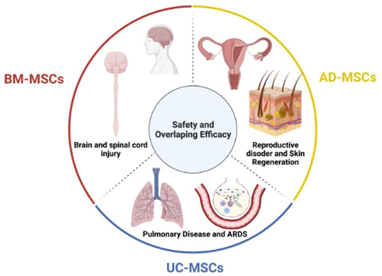 Fig.1 Mesenchymal stem cell (MSCs) therapies with safety profiles and overlapping efficacy in rare diseases.