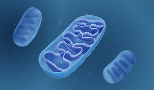 MitoClear™ Platform: Next-Generation Antibody Screening Platform