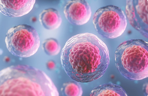 Cell Therapy Development