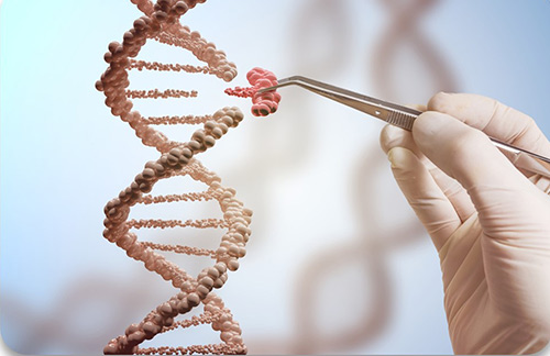 Gene Therapy Development