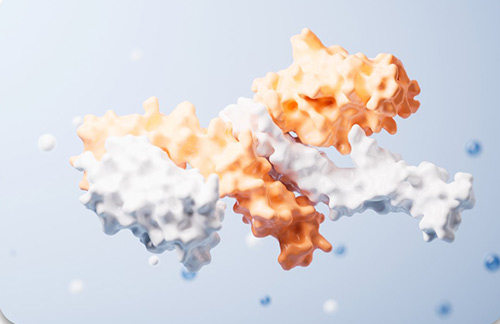 Therapeutic Protein Development