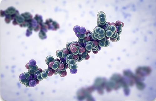 Therapeutic Peptide Development